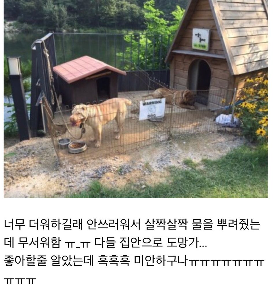 Bigbang G Dragonの愛犬の現在 外で放置状態 爪は伸び放題
